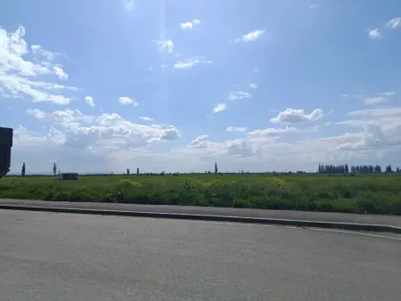 Фотоотчет